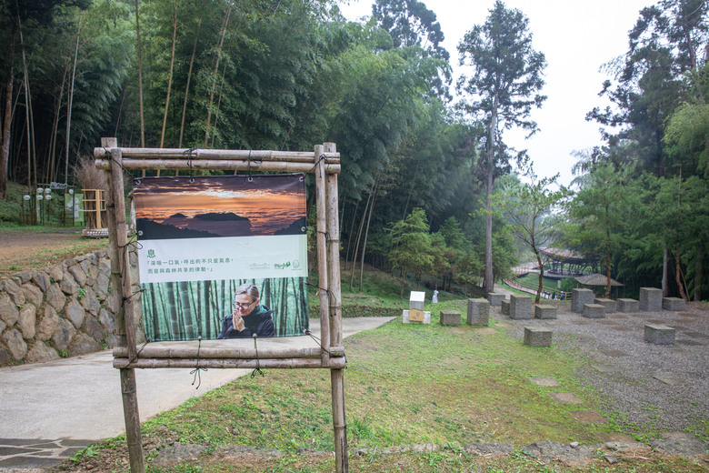 點我看大圖 走進雲嘉交界的秘境:草嶺小天梯、萬年峽谷地質奇景與在地美食的一日散策