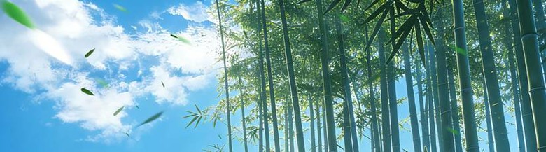 武俠養成頁遊《龍劍破天下》搶先釋出遊戲資訊
