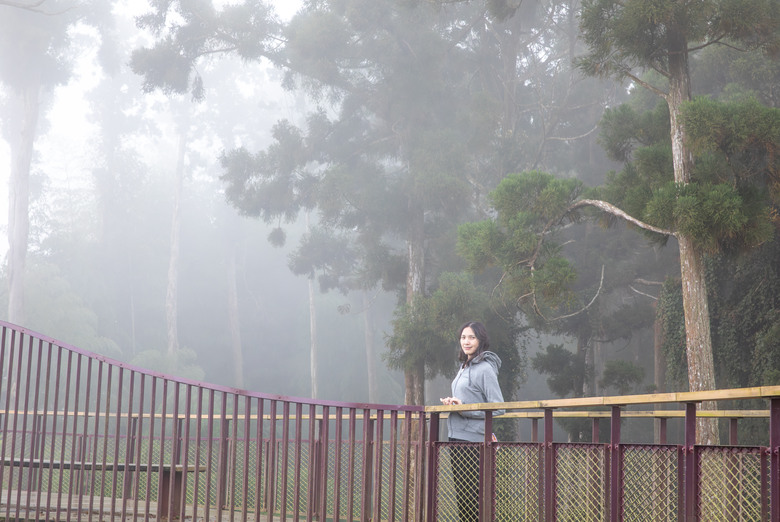 點我看大圖 走進雲嘉交界的秘境:草嶺小天梯、萬年峽谷地質奇景與在地美食的一日散策