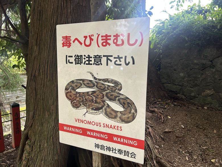 熊 野 古 道 最 終 回 ( 熊 野 三 山 巡 禮 )