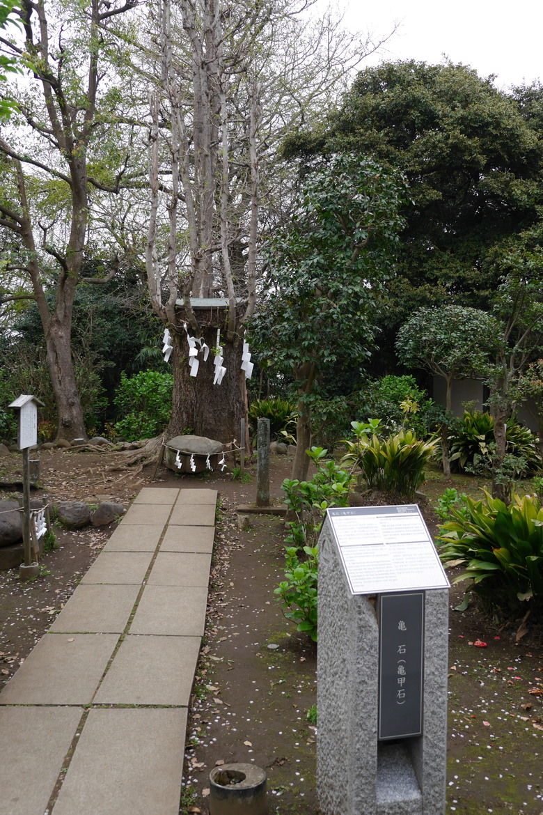 神奈川縣旅遊 江之島