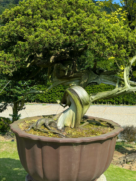 【不是遊記】平溪鐵道線上的望古車站、望古瀑布與平溪松苑