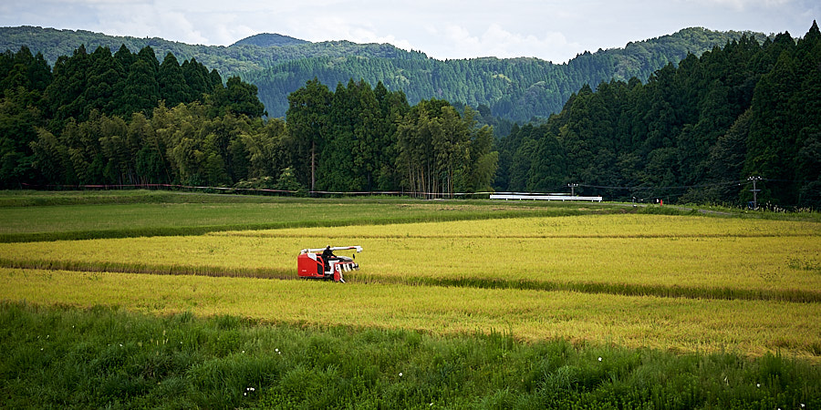 點我看大圖 2026夏末秋初北陸行(下) A7M3