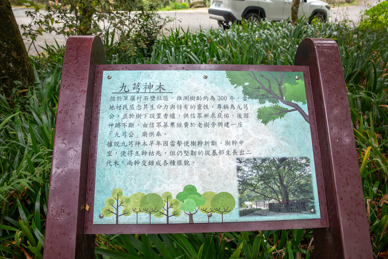 點我看大圖 走進雲嘉交界的秘境:草嶺小天梯、萬年峽谷地質奇景與在地美食的一日散策