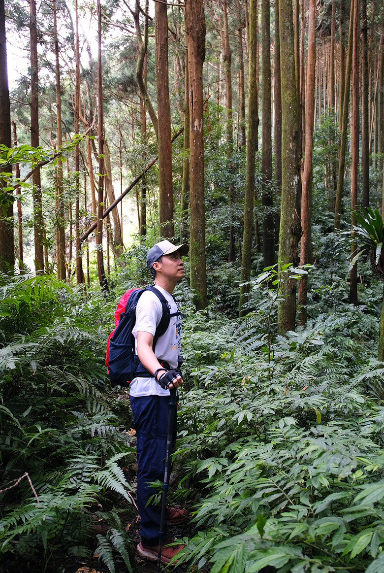 點我看大圖 【外鳥嘴山】蒐集台灣四座名為「鳥嘴山」的主要山峰| 蓮包山一日 O 型縱走