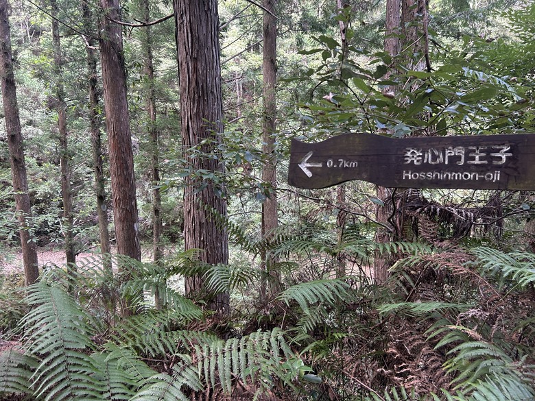 完 走 和 歌 山 熊 野 古 道 朝 聖 之 旅 ( 第 二 天 )