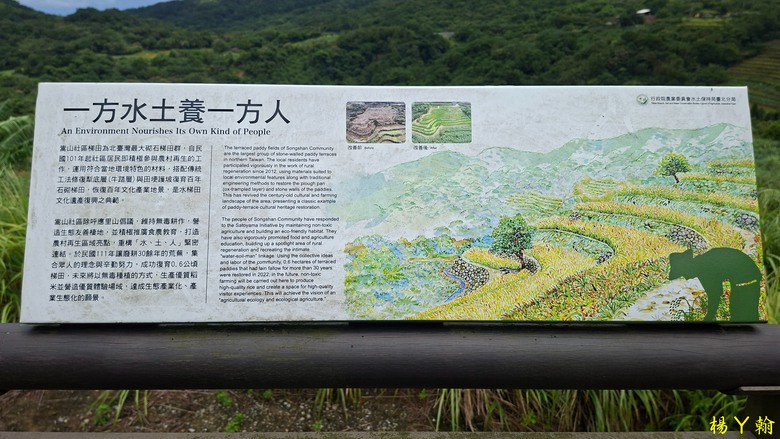 【郊山走走】青山瀑布整修後重新開放！來趟放鬆身心、呼吸芬多精、享受清涼森林浴的夏日消暑之旅