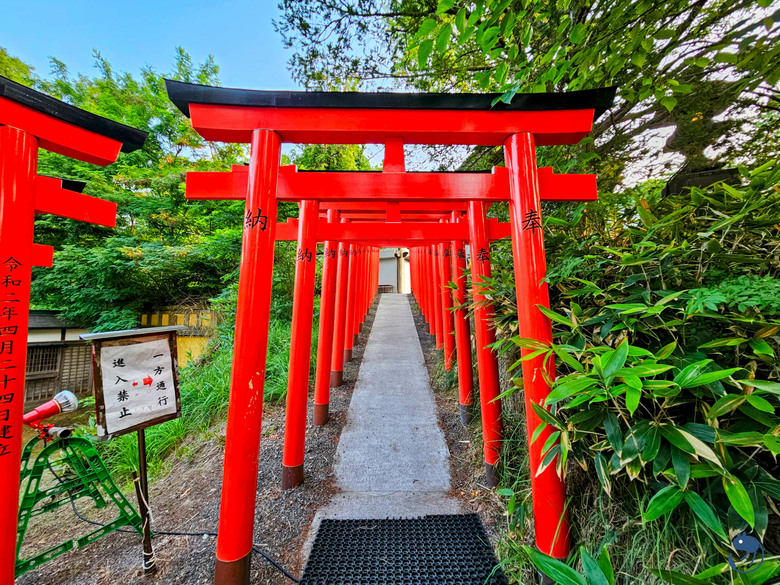 日本-小樽|*小樽的夏日也很好玩* 小樽總鎮守 住吉神社 例大祭