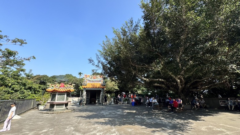 【彰化員林半日遊】藤山步道不只爬山，還有熱鬧市集！逛到買到手軟，全程實況分享＋抽超商禮券🎁