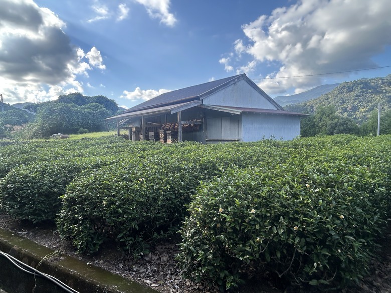 完 走 和 歌 山 熊 野 古 道 朝 聖 之 旅 ( 第 二 天 )
