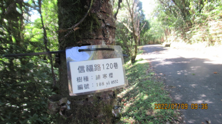 烏來四秀，SCC車隊珍奇小館聚餐，KHS club D city tour