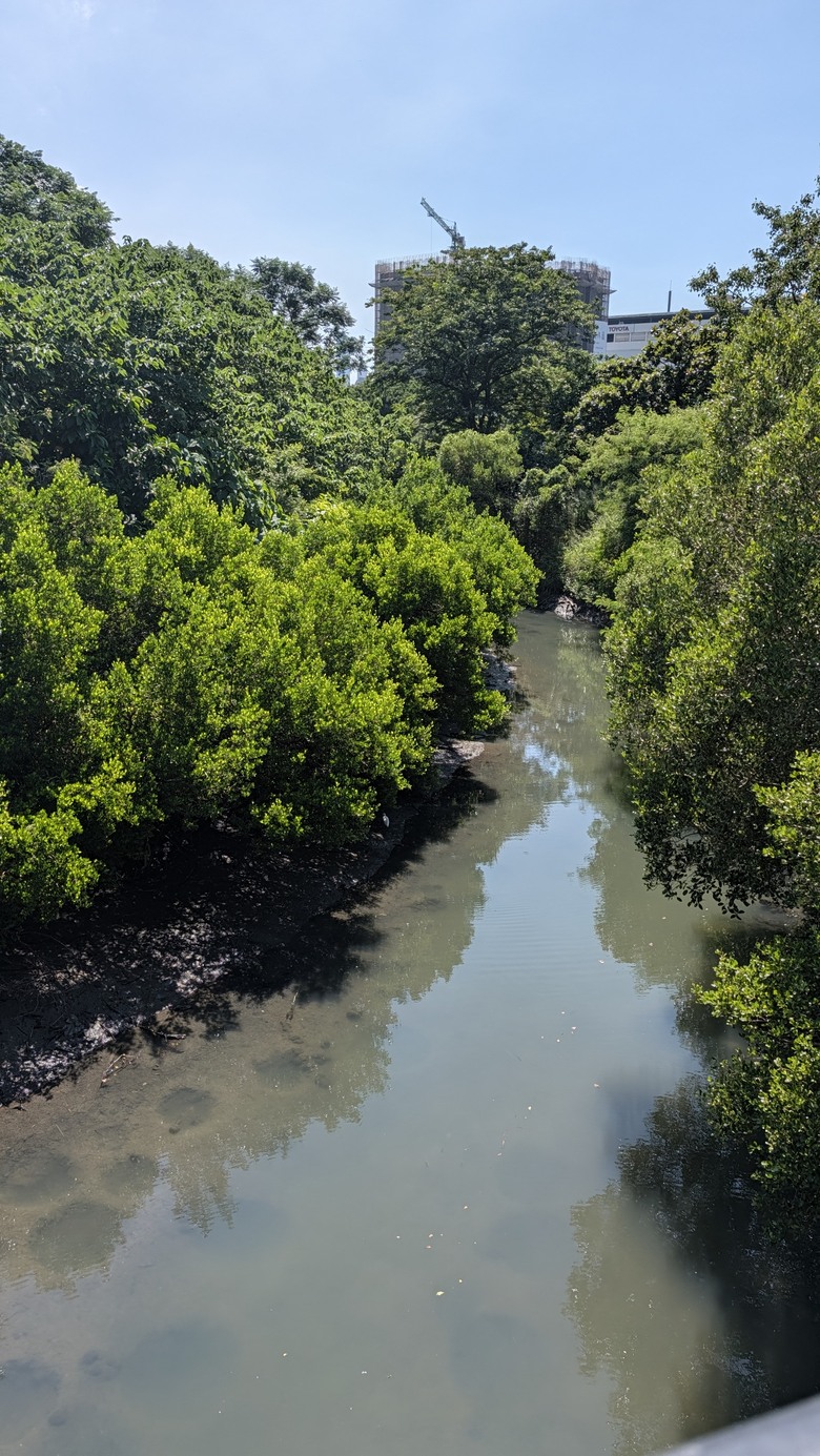 小遊高雄中都唐榮磚窯廠&濕地公園