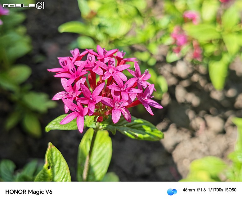 點我看大圖 HONOR Magic V6 評測報告|4mm 超薄機身、AI 靈感幫拍超貼心!