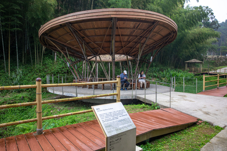 點我看大圖 走進雲嘉交界的秘境:草嶺小天梯、萬年峽谷地質奇景與在地美食的一日散策