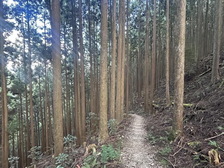 完 走 和 歌 山 熊 野 古 道 朝 聖 之 旅 ( 第 二 天 )