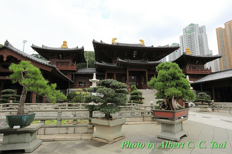 點我看大圖 【唐風古韻】香港志蓮淨苑仿唐建築藝術之美(Canon 5D3 / 7D2 雙機實錄)