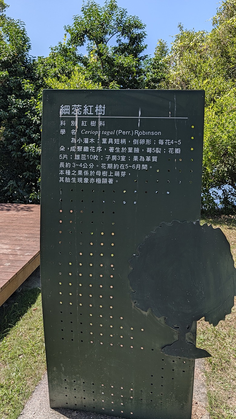 小遊高雄中都唐榮磚窯廠&濕地公園