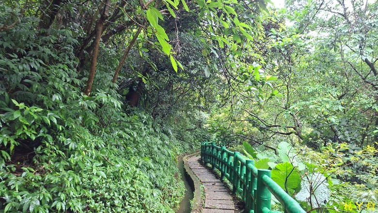 【郊山走走】青山瀑布整修後重新開放！來趟放鬆身心、呼吸芬多精、享受清涼森林浴的夏日消暑之旅