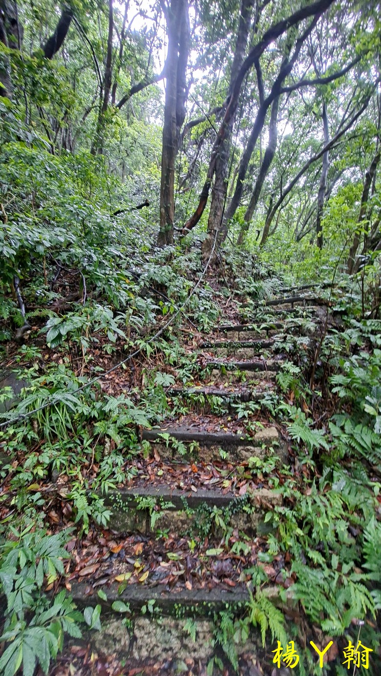 【郊山走走】青山瀑布整修後重新開放！來趟放鬆身心、呼吸芬多精、享受清涼森林浴的夏日消暑之旅