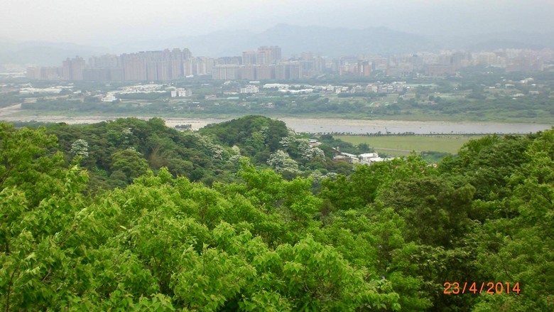 迴鶯鶯迴走三回,大棟山連稜屬台北天際線第八段大部分,十餘年來山遊記