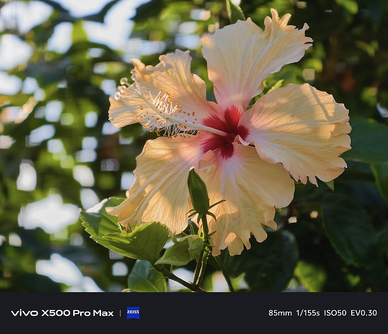 vivo X500 Pro Max 評測報告｜效能、影像雙進化，加碼「蔡司增距鏡」實戰 ft. X300 Pro
