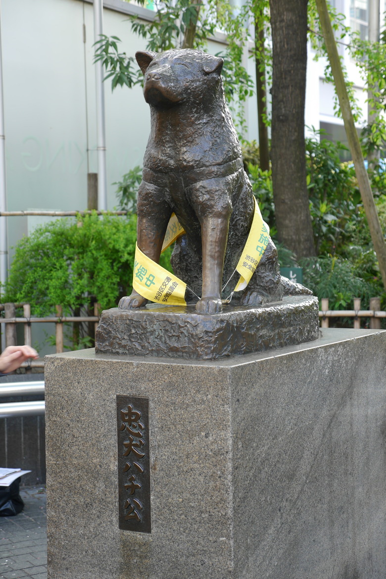 神奈川縣旅遊紀錄 橫濱