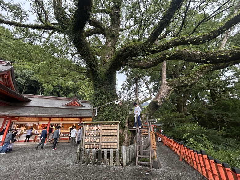 熊 野 古 道 最 終 回 ( 熊 野 三 山 巡 禮 )