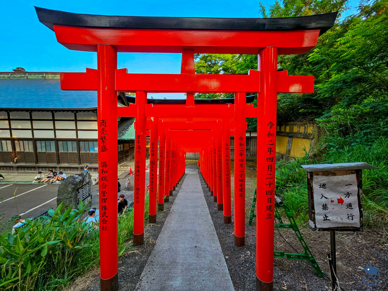 日本-小樽|*小樽的夏日也很好玩* 小樽總鎮守 住吉神社 例大祭