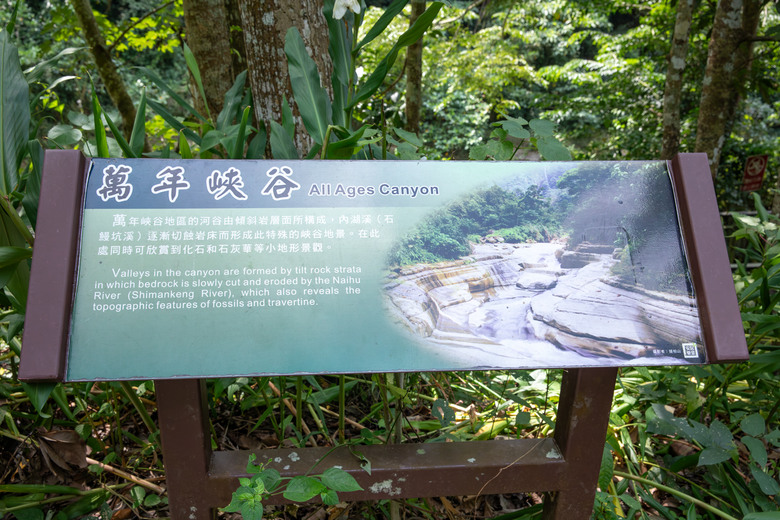 點我看大圖 走進雲嘉交界的秘境:草嶺小天梯、萬年峽谷地質奇景與在地美食的一日散策