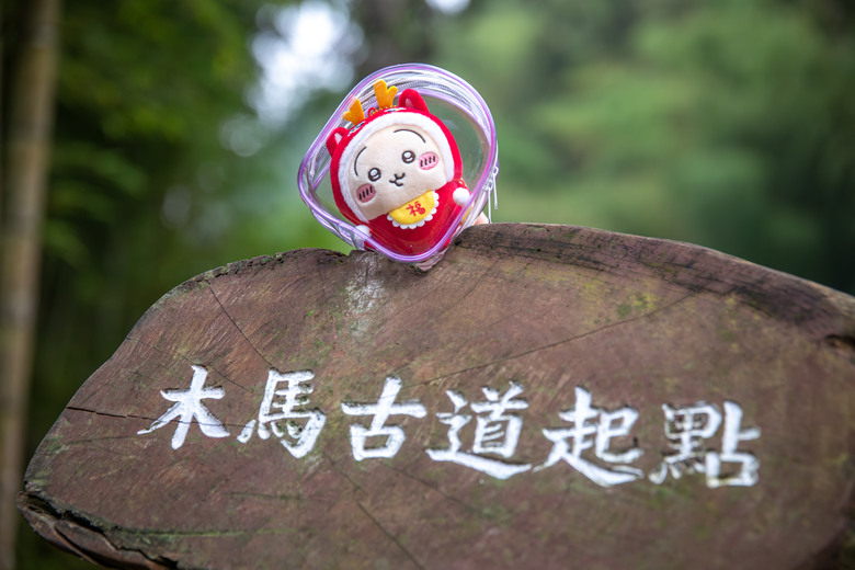 點我看大圖 走進雲嘉交界的秘境:草嶺小天梯、萬年峽谷地質奇景與在地美食的一日散策