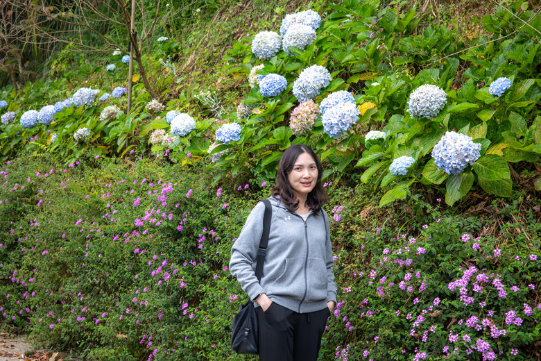 點我看大圖 走進雲嘉交界的秘境:草嶺小天梯、萬年峽谷地質奇景與在地美食的一日散策