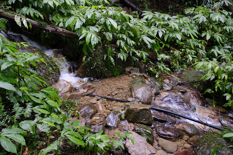 點我看大圖 【外鳥嘴山】蒐集台灣四座名為「鳥嘴山」的主要山峰| 蓮包山一日 O 型縱走