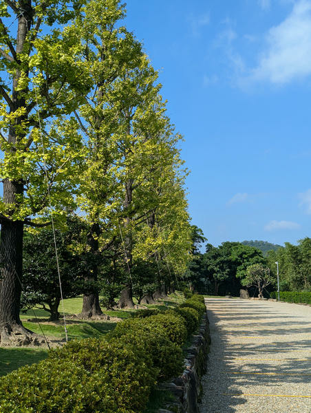 【不是遊記】平溪鐵道線上的望古車站、望古瀑布與平溪松苑