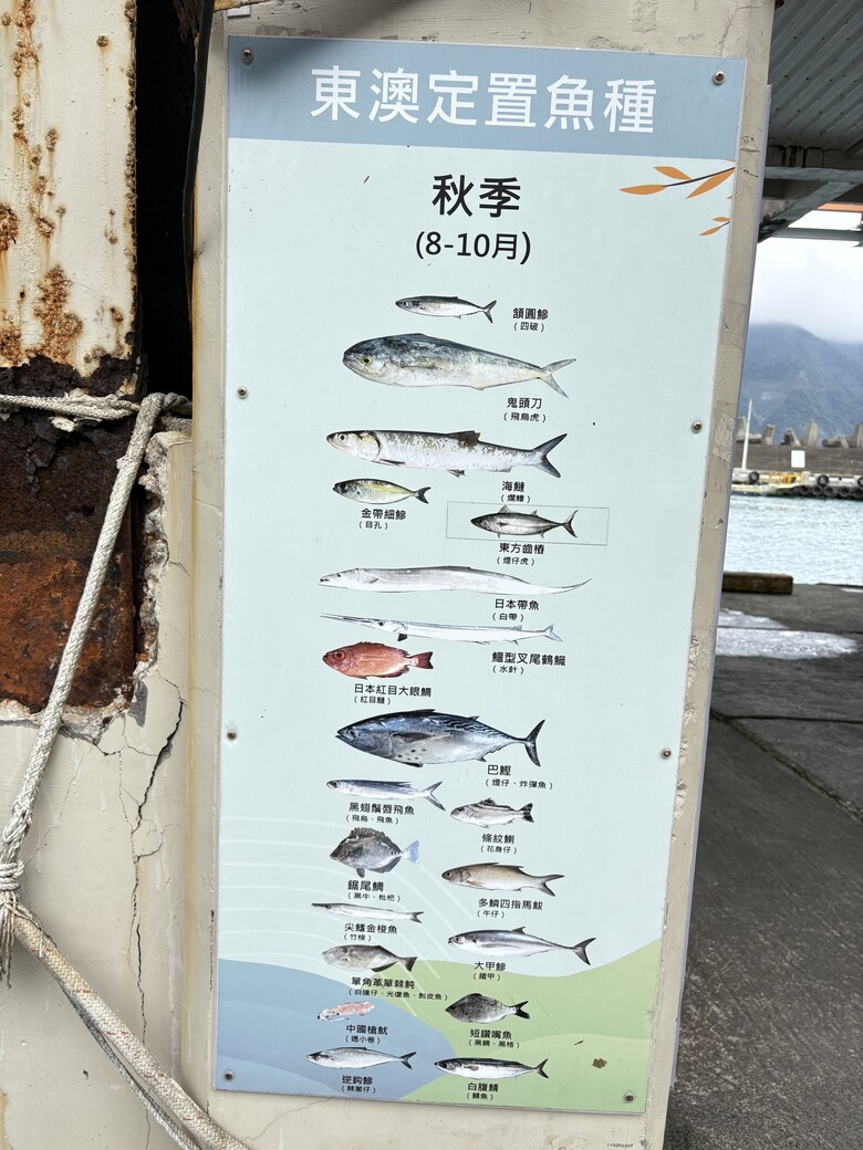 宜蘭一日遊｜南澳阿財早餐店粉漿蛋餅＋東澳粉鳥林漁港、秘境看海（J人臨時起意版）