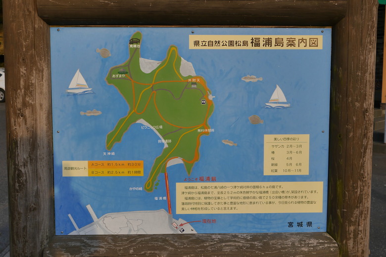 宮城縣旅遊紀錄 松島海岸