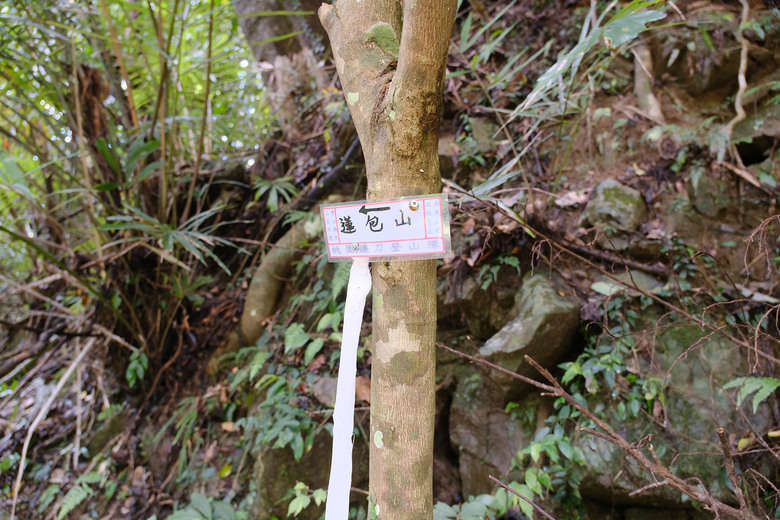 點我看大圖 【外鳥嘴山】蒐集台灣四座名為「鳥嘴山」的主要山峰| 蓮包山一日 O 型縱走