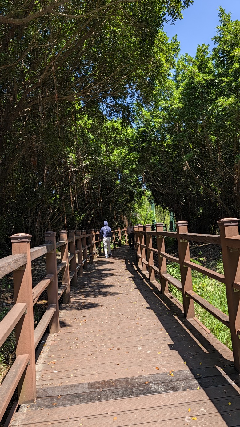小遊高雄中都唐榮磚窯廠&濕地公園