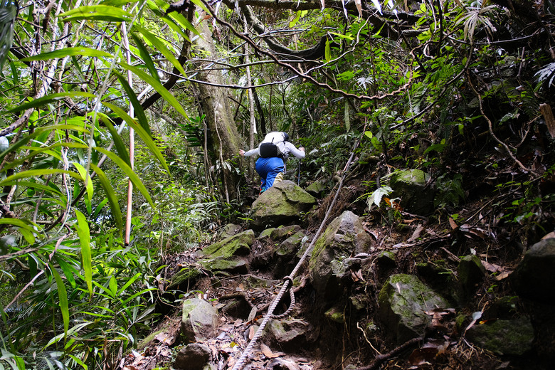 點我看大圖 【外鳥嘴山】蒐集台灣四座名為「鳥嘴山」的主要山峰| 蓮包山一日 O 型縱走