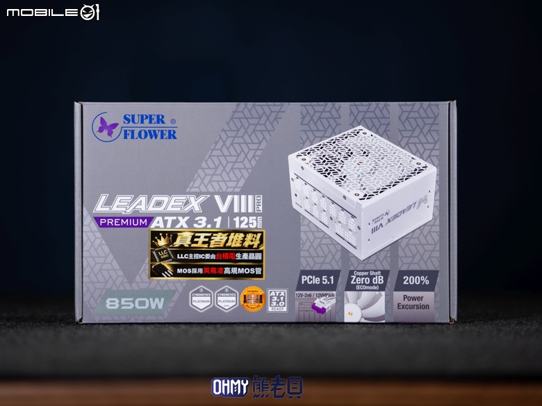 旗艦第八代！振華 LEADEX VIII PLATINUM PRO PREMIUM & 過電流保護轉接線