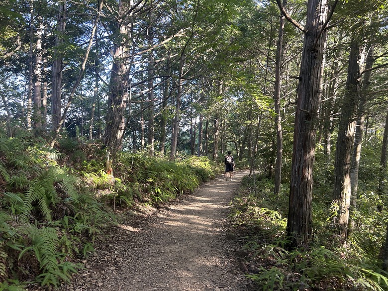 完 走 和 歌 山 熊 野 古 道 朝 聖 之 旅 ( 第 二 天 )