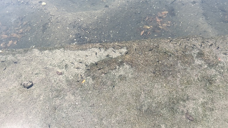 小遊高雄中都唐榮磚窯廠&濕地公園