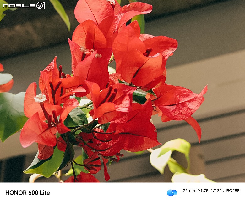 點我看大圖 HONOR 600 Lite|主打人像、輕薄機身與 AI 鍵,實拍體驗一次看