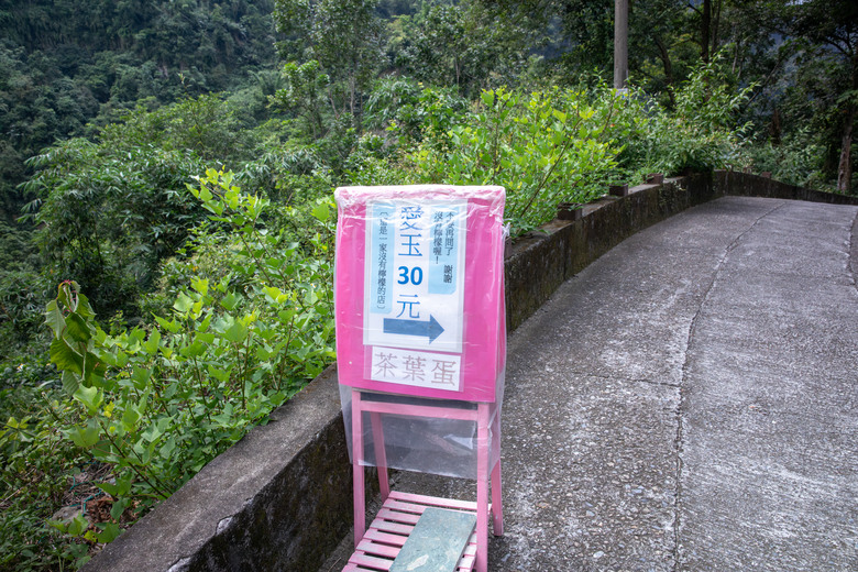 點我看大圖 走進雲嘉交界的秘境:草嶺小天梯、萬年峽谷地質奇景與在地美食的一日散策