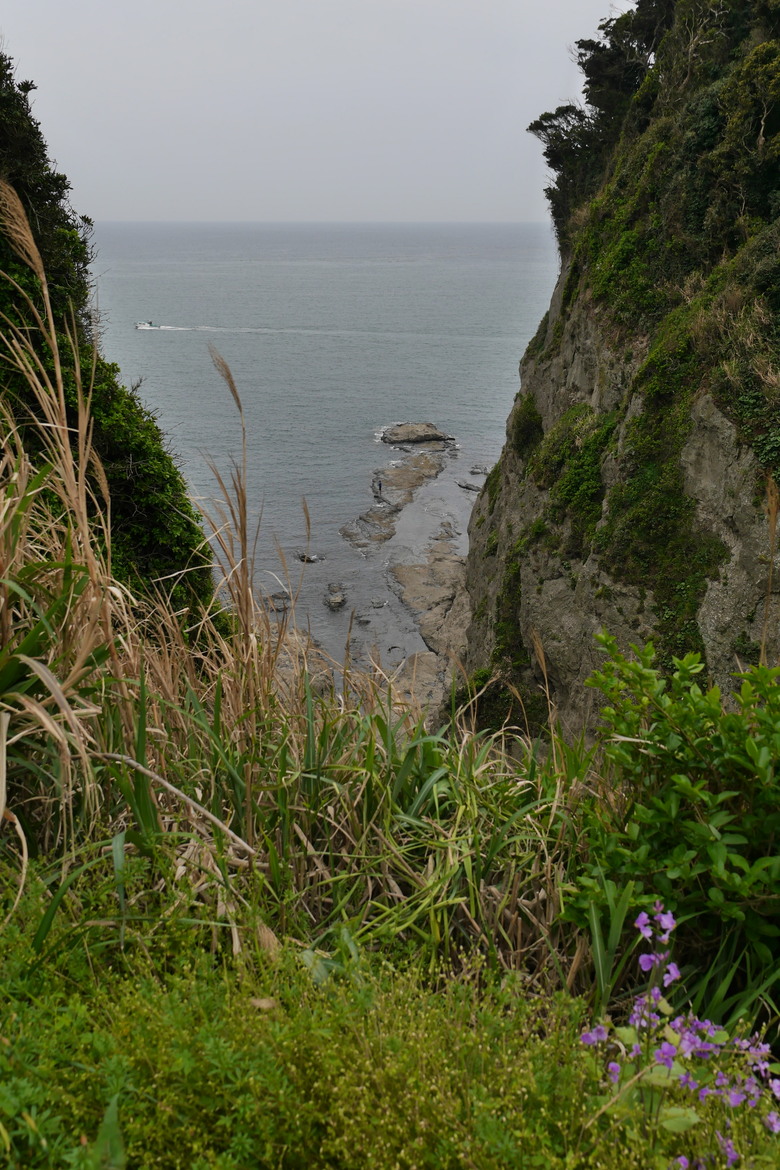 神奈川縣旅遊 江之島