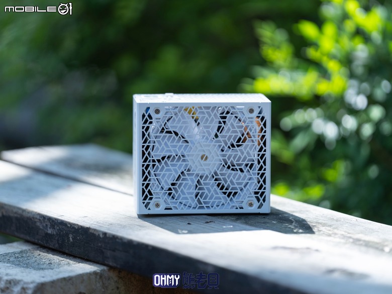 旗艦第八代！振華 LEADEX VIII PLATINUM PRO PREMIUM & 過電流保護轉接線