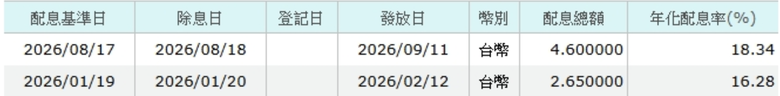 科技型ETF大家都配置幾成?