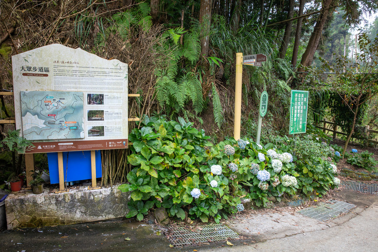 點我看大圖 走進雲嘉交界的秘境:草嶺小天梯、萬年峽谷地質奇景與在地美食的一日散策