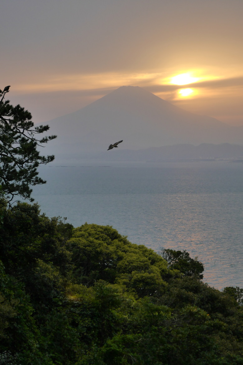 神奈川縣旅遊 江之島