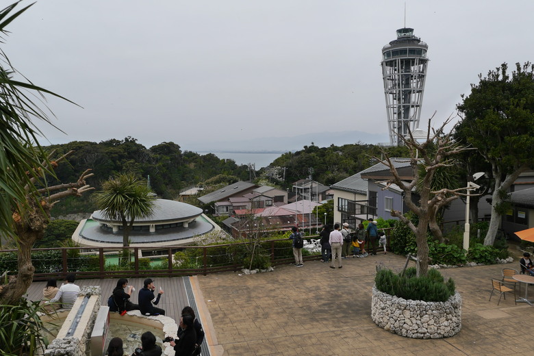 神奈川縣旅遊 江之島