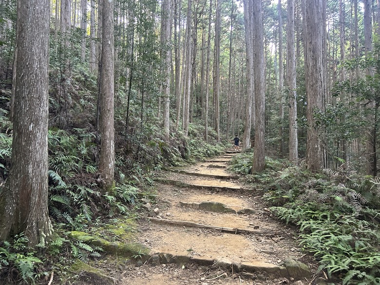 完 走 和 歌 山 熊 野 古 道 朝 聖 之 旅 ( 第 二 天 )